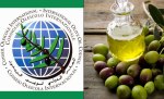 Conseil-oleicole-international