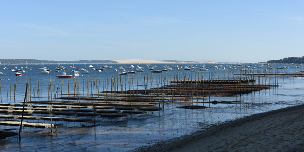 shutterstock_560377540