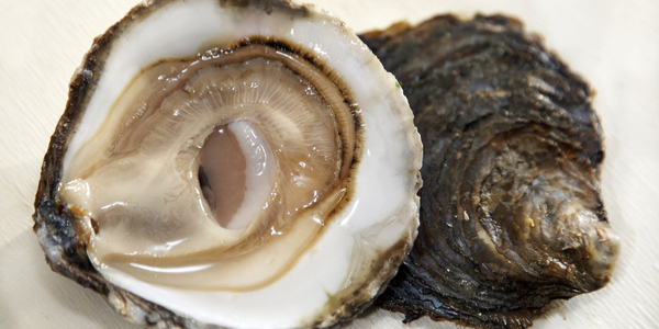 shutterstock_84637249