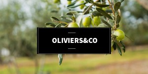 990C8661-E5FB-4B6D-A0D1-5ECF669CFA96